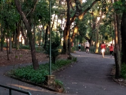 Parque de la Salud IPS