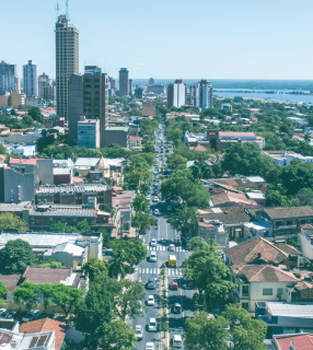 Los beneficios de "la ciudad de los árboles"