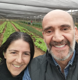 El llamado de la tierra: las hortalizas orgánicas de Agronat